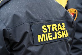 Zapuka strażnik, zapłacisz karę. Ruszyły kontrole w całej Polsce-226372