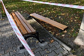Zniszczenia w parku miejskim. Spore straty-226389