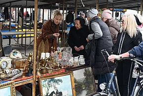 Październikowy Pchli Targ w Tarnobrzegu przyciągnął ciekawymi ofertami [ZDJĘCIA]-226770