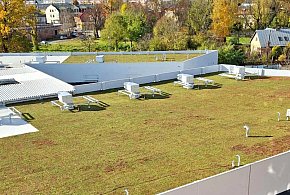 Pasaż Dominikański w Tarnobrzegu w zieleni. Otwarcie w I kwartale przyszłego roku-226934