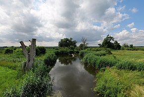 Co dalej z nowym parkiem narodowym? Minister klimatu zdradza plan po wecie-227417