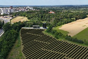 Nie będzie farmy solarnej na skarpie w sąsiedztwie Parku Dzikowskiego-227504