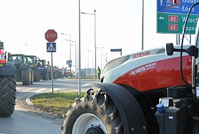 Rolnicy zapowiadają protest w całym kraju. Skala może zaskoczyć-229070
