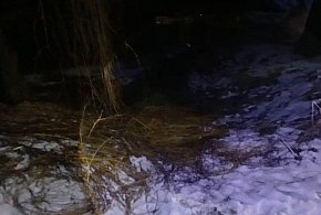 Tragedia w gminie Lipnik. Nie żyje 82-letnia kobieta [ZDJĘCIA]