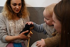 Nowe domy i pełne miski. Mieszkańcy Poręb Dębskich wsparli nowodębskie przytulisko