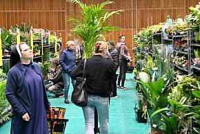 Hala MOSiR w Tarnobrzegu zamieniła się w "szklarnię". Trwa tu Festiwal Roślin