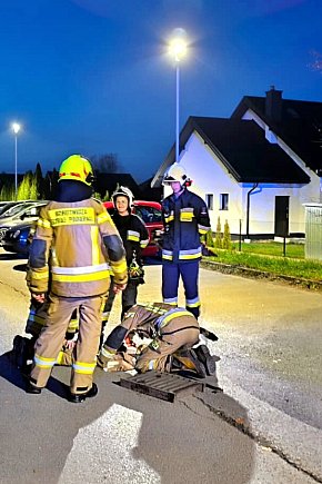 Strażacy z Gorzyc uratowali kota-10685