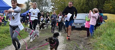 IV Sandomierski Dogtrekking Wiśniowy-1349