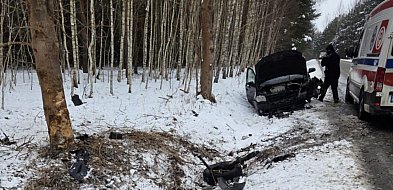 Volkswagen uderzył w drzewo. Do szpitala trafiły 9-latka i jej mama [ZDJĘCIA]