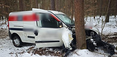 30-latek wjechał oplem w drzewo. Został przetransportowany do szpitala [ZDJĘCIA]