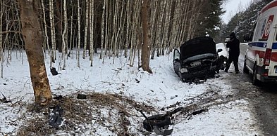 Volkswagen uderzył w drzewo. Do szpitala trafiły 9-latka i jej mama [ZDJĘCIA]