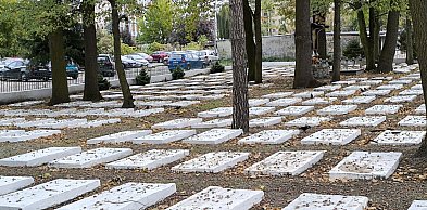 Są nowe środki na nekropolię w Tarnobrzegu