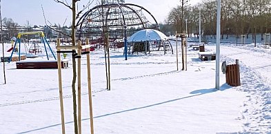 Niebywały akt wandalizmu. Zniszczono Aleję 500-lecia Staszowa! [ZDJĘCIA]