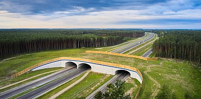 14 firm chce projektować ekspresową S74 między Opatowem a Niskiem