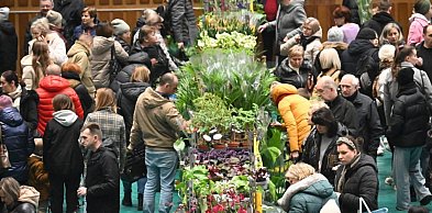 Już niebawem w Tarnobrzegu odbędzie się Festiwal Roślin