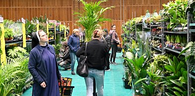 Hala MOSiR w Tarnobrzegu zamieniła się w "szklarnię". Trwa tu Festiwal Roślin