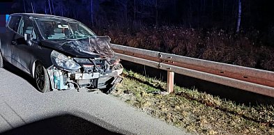 W Alfredówce osobowy Renault zderzył się z łanią