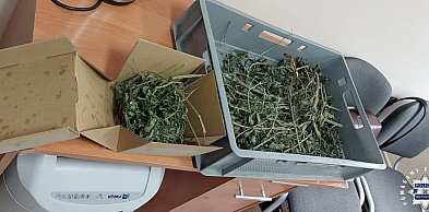 Pow. staszowski. Kierowca i pasażer fiata zatrzymani z narkotykami