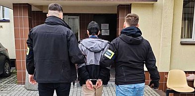 Dwaj mężczyźni w areszcie po serii podpaleń lasu w rejonie Stalowej Woli