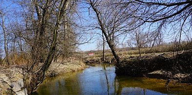 Ekologiczna akcja w Koprzywnicy