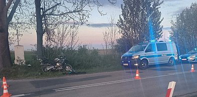 Zderzenie Yamahy i BMW pod Sandomierzem. Winna dzika zwierzyna?