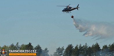 Poligon w Nowej Dębie w ogniu. Strażacy walczą z wielkim pożarem lasu