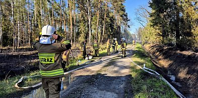 Pożar na poligonie w Nowej Dębie ugaszony. Potrzebne było wsparcie lotnicze