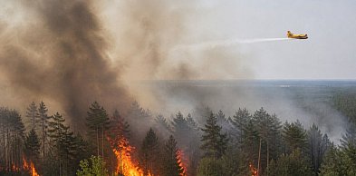 Dwa wielkie pożary lasów w powiecie staszowskim. Ściągnięto samoloty gaśnicze