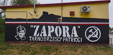 Zapora zamiast wulgaryzmów? Pod Tarnobrzegiem powstał piękny mural [ZDJĘCIA]