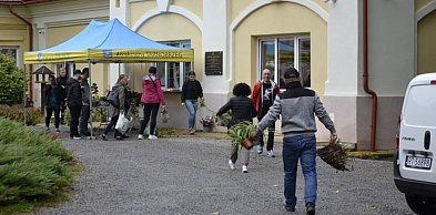 Wiosenna Kwiatowymiana w Tarnobrzegu. Wymień rośliny i ogrodnicze doświadczenia