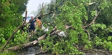 Połamane drzewa zablokowały drogi. Interweniują strażacy