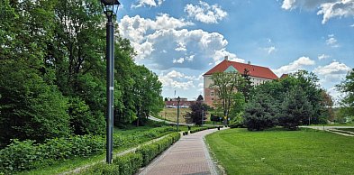 Aleja „NieZwykła” w Sandomierzu. Miasto chce uhonorować festiwal