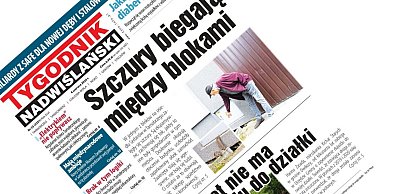 Co w najnowszym numerze Tygodnika Nadwiślańskiego? – 4 czerwca 2026