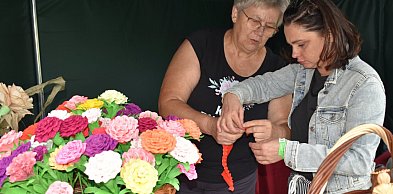 Szlakiem atrakcji gminy Dwikozy. Turystyczna Sobota z bardzo bogatą ofertą