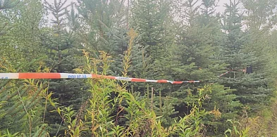 Józef K. prawdopodobnie popełnił samobójstwo niedługo po zaatakowaniu żony-226202