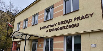 Pracownicy Urzędu Pracy w Tarnobrzegu będą krócej pracować za te same pieniądze-226386