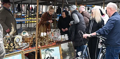 Październikowy Pchli Targ w Tarnobrzegu przyciągnął ciekawymi ofertami [ZDJĘCIA]-226770