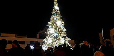 Tarnobrzescy radni zdecydowali, że w tym roku będą święta z miejską choinką-226943