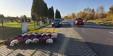 Zmiany w organizacji ruchu w Tarnobrzegu i powiecie na Wszystkich Świętych-226913