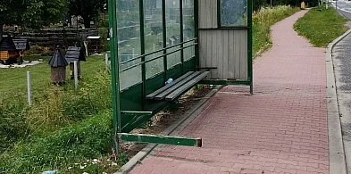 Zraniła nogę na uszkodzonym przystanku [Czytaj w gazecie]-227636