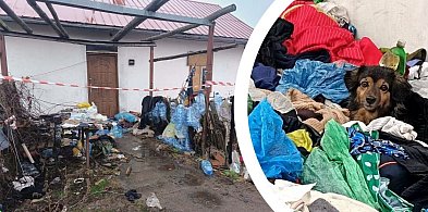 Burza w szklance wody czy sygnał alarmowy? Spór o psy z opuszczonej posesji-229390