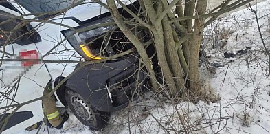 Groźny wypadek na drodze wojewódzkiej. Dwie osoby trafiły do szpitala [ZDJĘCIA]