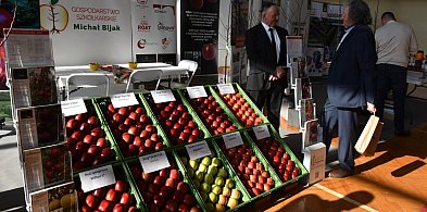 O sadownictwie w Samborcu [ZDJĘCIA]