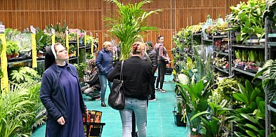 Hala MOSiR w Tarnobrzegu zamieniła się w "szklarnię". Trwa tu Festiwal Roślin