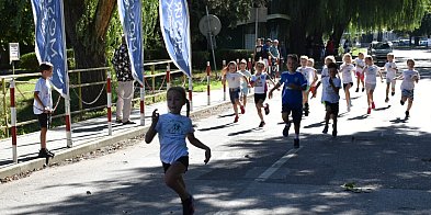 Biegowe święto w Sandomierzu i Tarnobrzegu [ZDJĘCIA] -225711