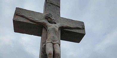 Kwesta na opatowskim cmentarzu-226835