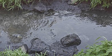 Czy to kolejne zanieczyszczenie Sanu? [ZDJĘCIA]-226994