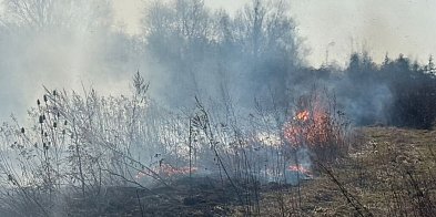 Zatrzymano 57-latka, który podpalił trawy