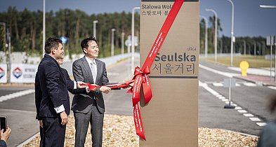 Stalowa Wola otworzyła ulicę Seulską. Nowa oś rozwoju strefy przemysłowej-225188
