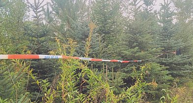 Józef K. prawdopodobnie popełnił samobójstwo niedługo po zaatakowaniu żony-226202
